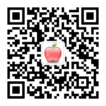 bob通关攻略